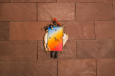 Krishna Cow Wall Clock