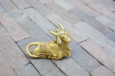 Gold Nandi Sitting