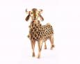 Nandi- Friend Indeed